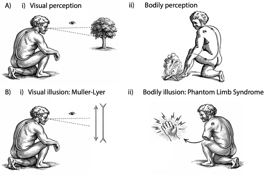 Bodily Core Knowledge figure — visual and bodily perception engravings