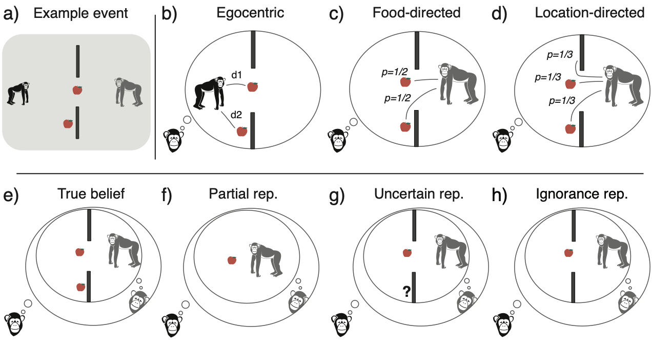 NHP ToM model figure — 7-panel grid of computational models